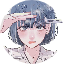 鹏星教程